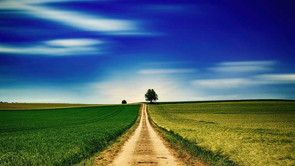 A imagem pode conter: céu, planta e atividades ao ar livre