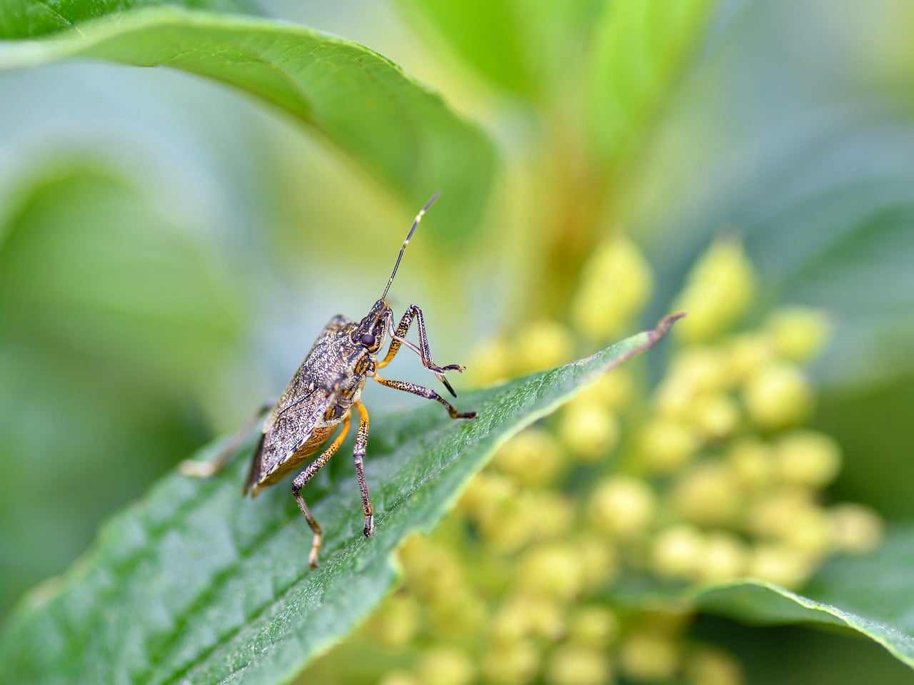 Plenária na Alerj que aprovou o auxílio emergencial carioca